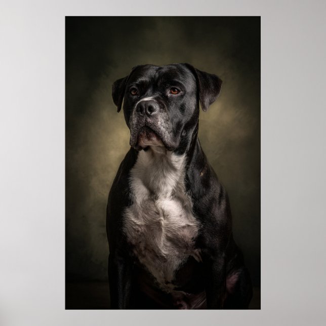 Affiche Silhouette de chien élégant (Devant)