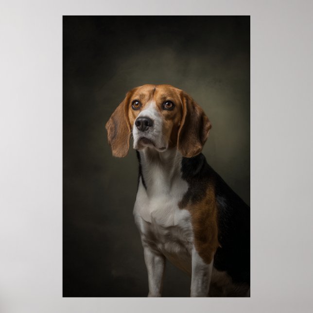 Affiche Silhouette de chien élégant (Devant)