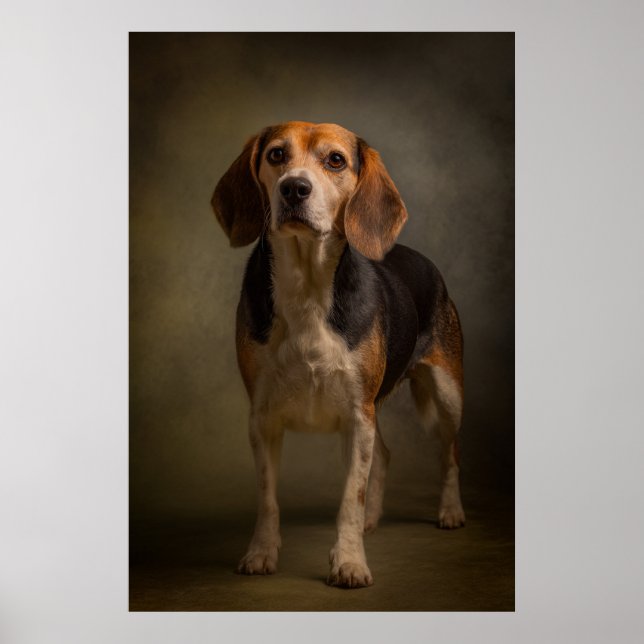 Affiche Silhouette de chien élégant (Devant)