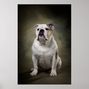 Affiche Silhouette de chien élégant