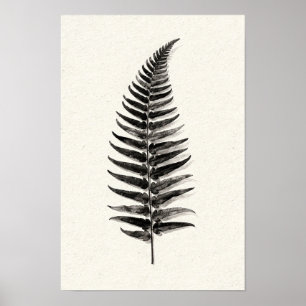 Affiche Silhouette de fougère monochrome 12 x 18