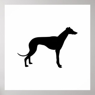 Affiche Silhouette de Greyhound