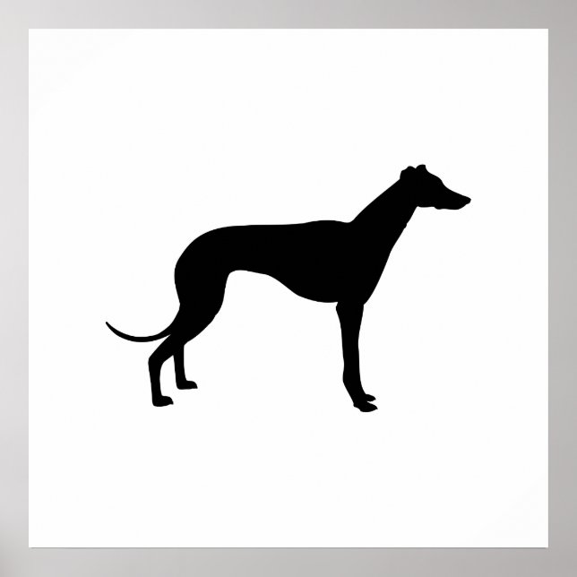 Affiche Silhouette de Greyhound (Devant)