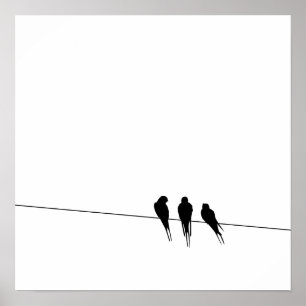 Affiche Silhouette de merles sur un fil