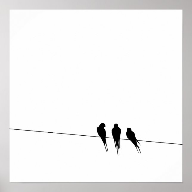 Affiche Silhouette de merles sur un fil (Devant)