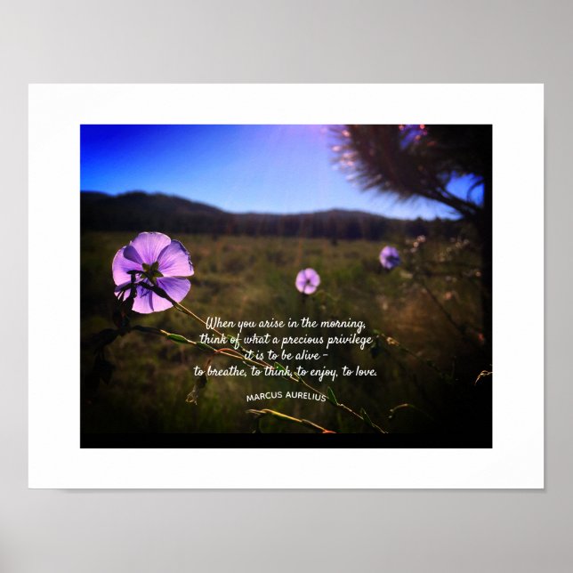 Affiche Silhouette de Prairie Hill au coucher du soleil Ph (Devant)