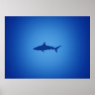 Affiche Silhouette de requin