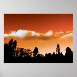 Affiche Silhouette de requin