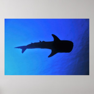 Affiche Silhouette de requin-baleine