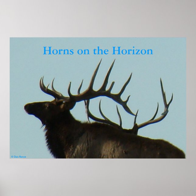 Affiche Silhouette de tête de Wapiti mâle E11 (Devant)