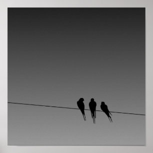 Affiche Silhouette des oiseaux noirs en lard sur l'affiche
