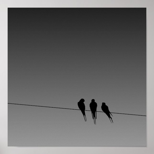 Affiche Silhouette des oiseaux noirs en lard sur l'affiche (Devant)