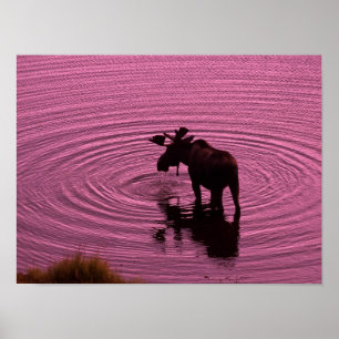 Affiche Silhouette d'orignaux