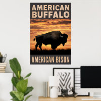 Silhouette du coucher de soleil de bison américain