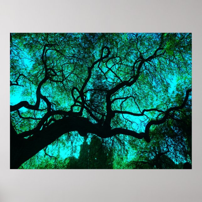 Affiche Silhouette Imaginaire Turquoise Tree (Devant)