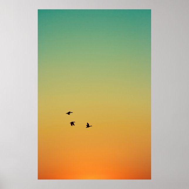 AFFICHE SILHOUETTE OF BIRDS FLYING DURING SUNSET (Devant)