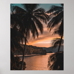 Affiche Silhouette of palm tree during golden hour