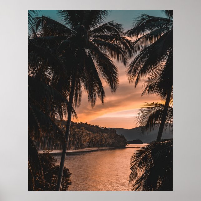 Affiche Silhouette of palm tree during golden hour (Devant)