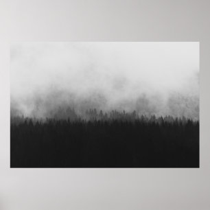 AFFICHE SILHOUETTE OF TREES WITH FOGS