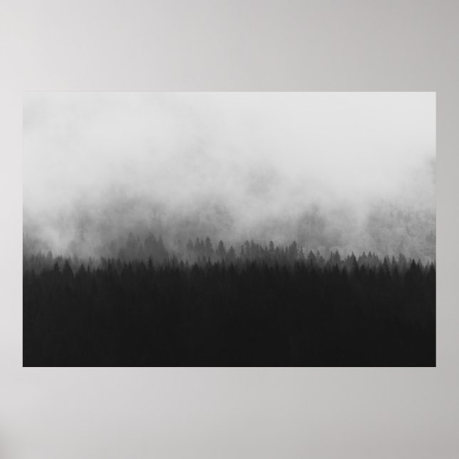 AFFICHE SILHOUETTE OF TREES WITH FOGS (Devant)