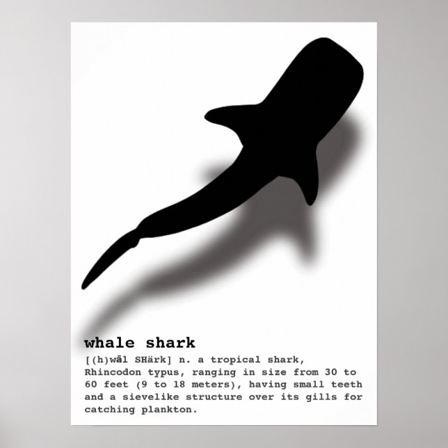 Affiche Silhouette requin baleine avec Definition Beach (Devant)