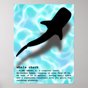 Affiche Silhouette requin baleine avec Definition Beach
