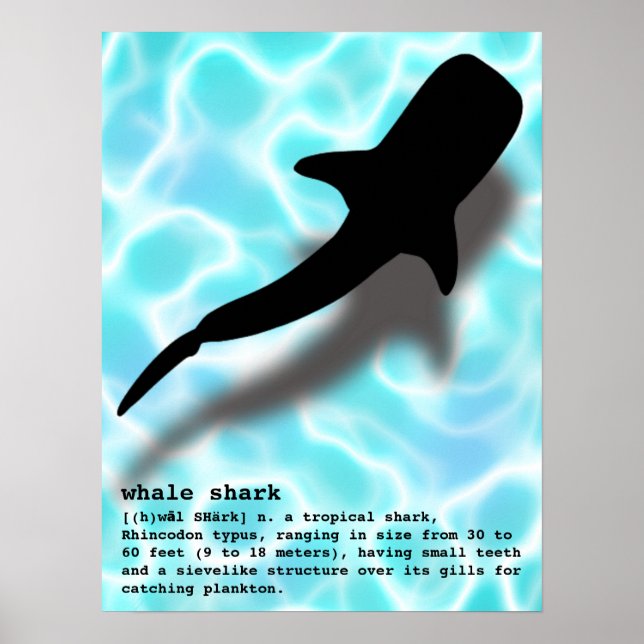 Affiche Silhouette requin baleine avec Definition Beach (Devant)