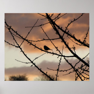 Affiche Silhouette solitaire