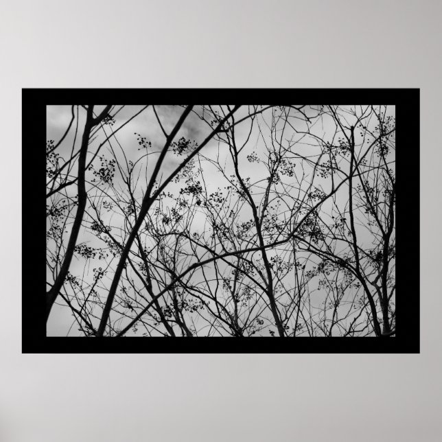 Affiche Silhouettes (Devant)