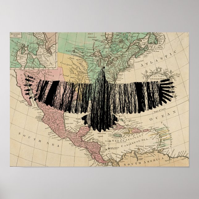 Affiche Silhouettes d'aigle Abstrait Nature Art animal (Devant)