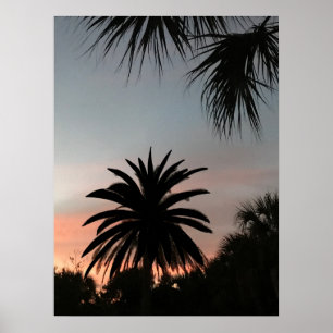 Affiche Silhouettes de frondes de palmiers au coucher du s