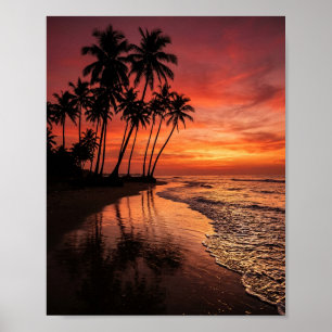 Affiche Silhouettes de palmiers tropicaux sur la plage au