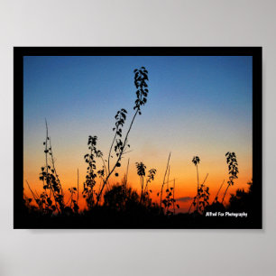 Affiche Silhouettes de plantes d'été
