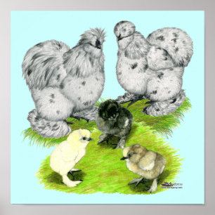 Affiche Silkie Bantam Splash Family