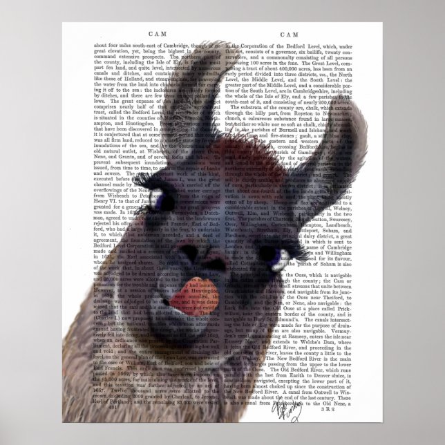 Affiche Silly Llama (Devant)