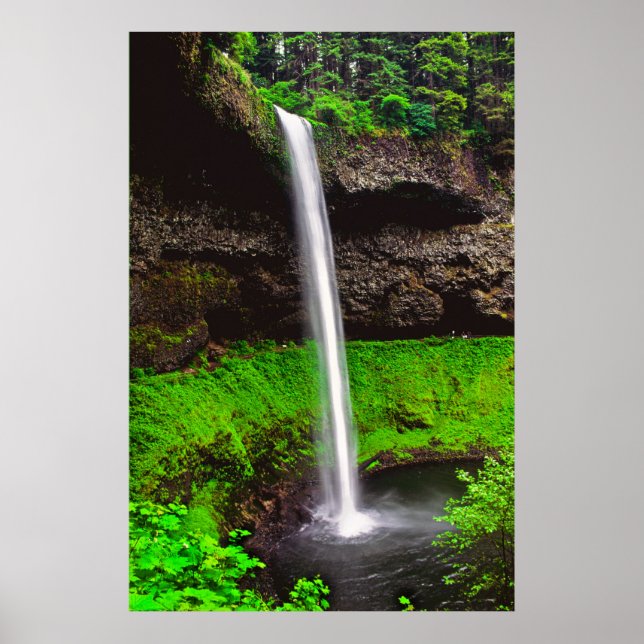 Affiche Silver Falls OU (Devant)