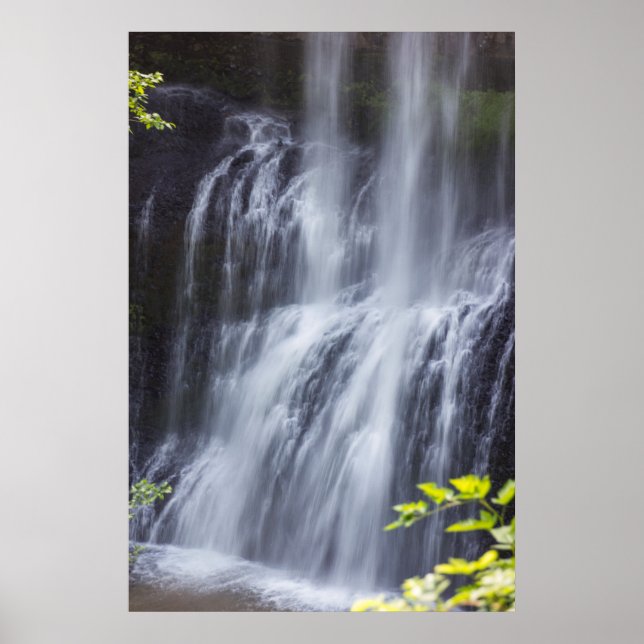 Affiche Silver Falls Willamette Valley Oregon Middle Falls (Devant)