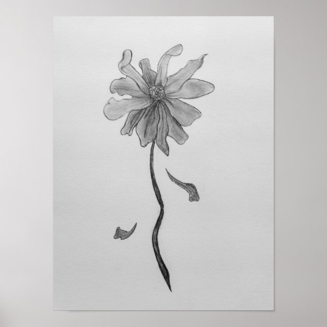 Affiche Simple marguerite (Devant)