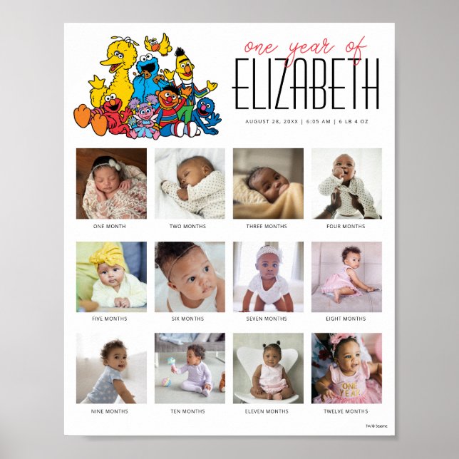 Affiche Simple rue Sésame Une année de 12 mois (Devant)