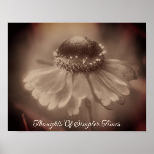 Affiche Simpler Times Sepia Zinnia Flower Nostalgia