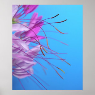 Affiche Simplicité en pastel