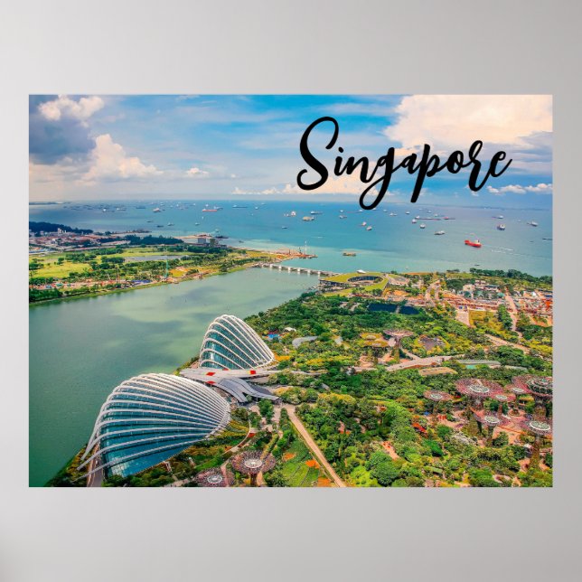 Affiche Singapour en fleurs — Harmonie aérienne des jardin (Devant)
