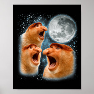 Affiche singe à nez long amateur galaxie lune faune animal