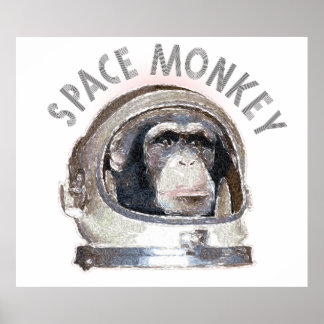 Affiche Singe de l'espace