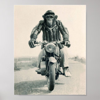 Affiche Singe de moto, Ape sur moto, Vintage