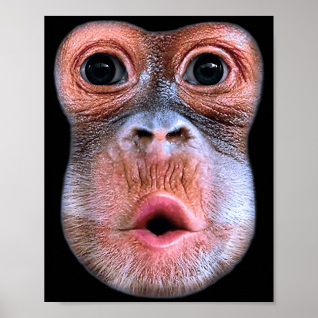 Affiche Singe drôle qui gonfle le visage de l'estomac, Sin (Devant)