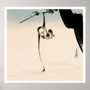 Affiche Singe et la réflexion de lune