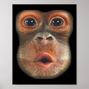 Affiche Singe faisant une grimace en gonflant le ventre
