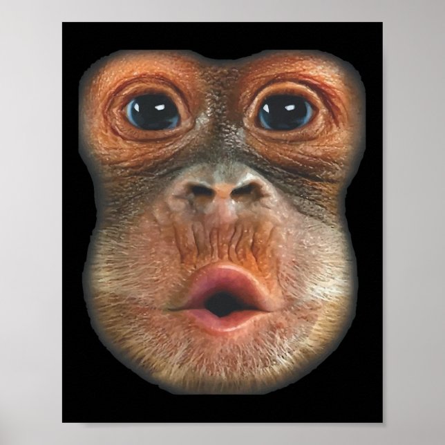 Affiche Singe faisant une grimace en gonflant le ventre  (Devant)