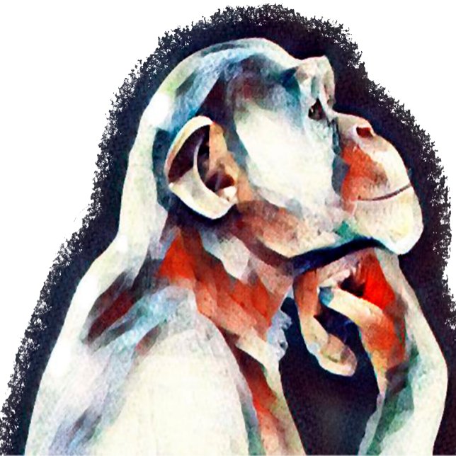 Affiche Singe penseur blanc (Créateur téléchargé)